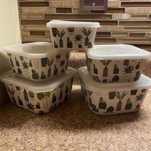 Succulent, cactus food containers set of 5